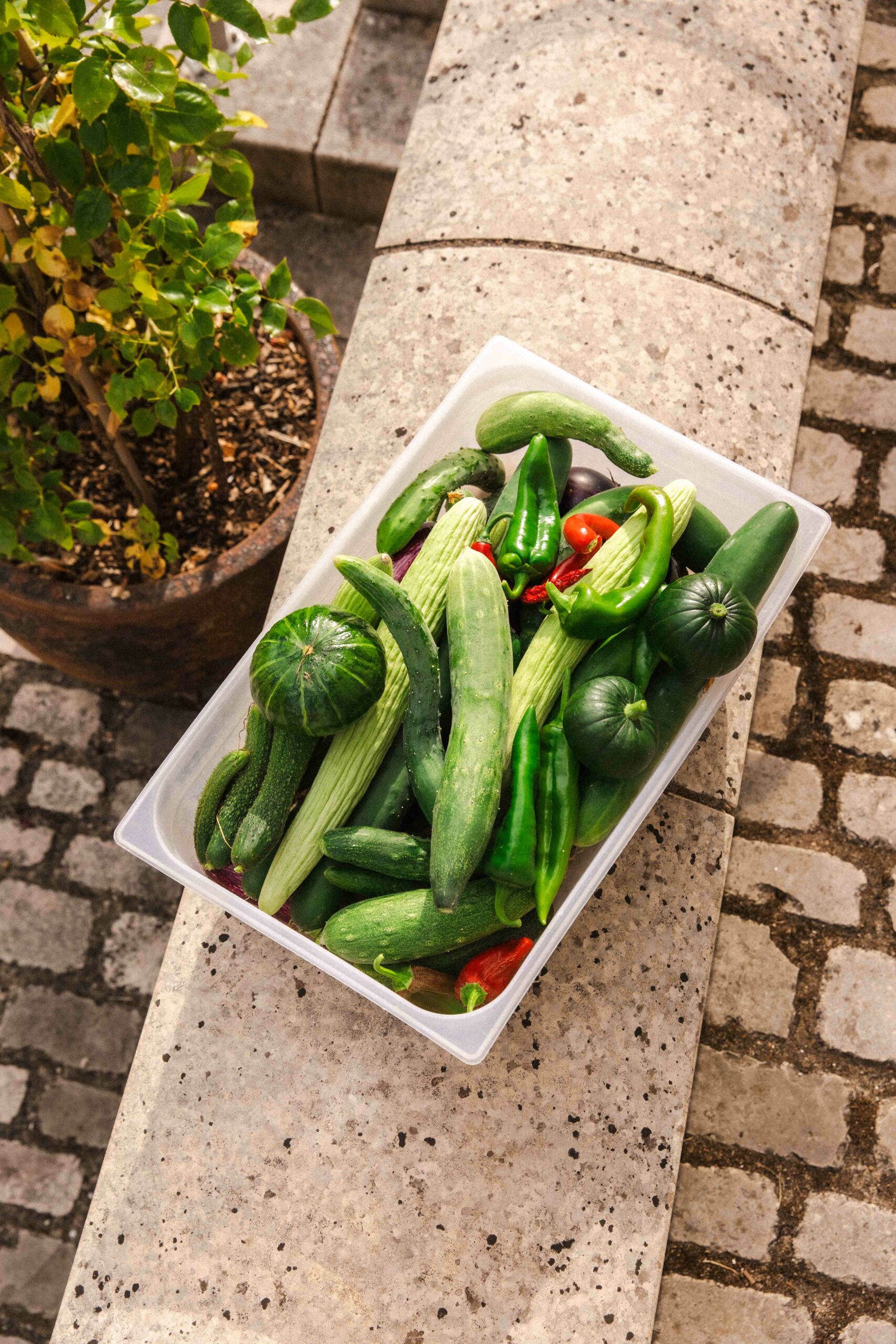 LECHENIN-LECHICBOUTEILLES-31JUILLET2025-SD-14 Produits frais été 2022